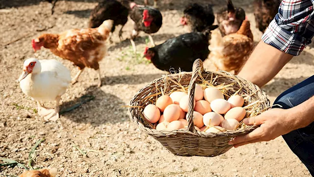 2026 3 30 11 55 13 767 2