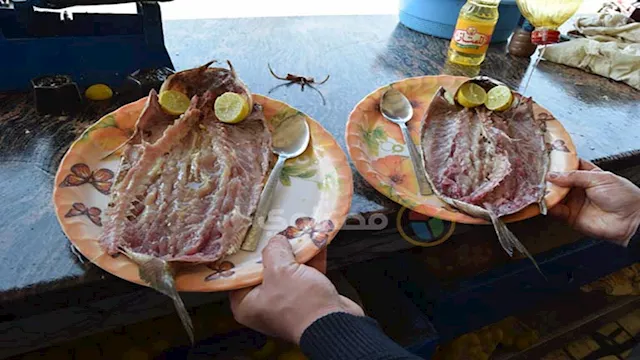 2026 4 11 12 48 25 64