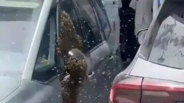 2026 4 16 12 20 25 54