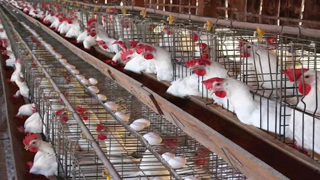 2026 4 1 10 21 26 539 1