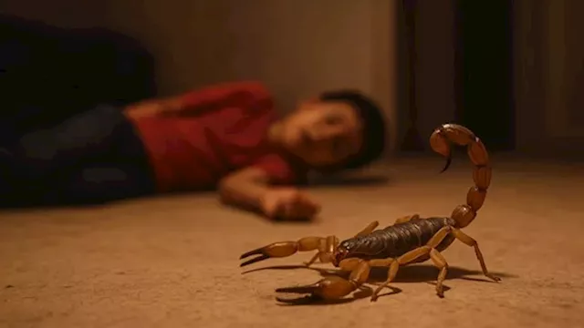 2026 4 2 20 0 41 684