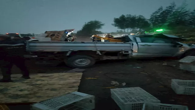 2026 4 2 8 14 11 531