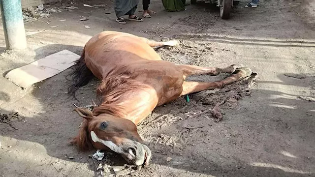 2026 4 3 11 10 10 501