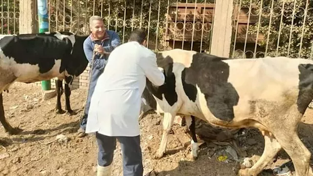 2026 4 3 21 43 54 859