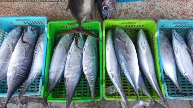 2026 4 5 14 15 51 913