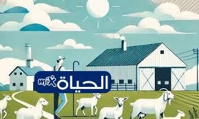 D8B1D8A7D8A8D8B7 D988D8AED8B7D988D8A7D8AA D8A7D984D8A7D8B3D8AAD8B9D984D8A7D985 D988D985D988D8B9D8AF D8B5D8B1D981 D8AFD8B9D985 D8A7D984D985D988D8A7D8B4D98A D8B4D987D8B1 D8A3D8A8D8B1D98AD984 2026