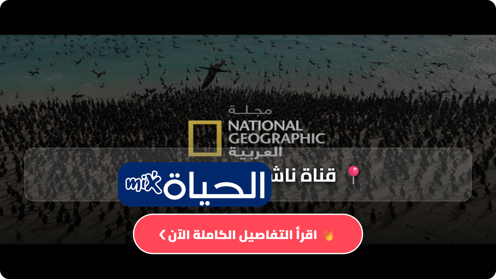 D982D986D8A7D8A9 D986D8A7D8B4D98AD988D986D8A7D984 D8ACD98AD988D8BAD8B1D8A7D981D98AD983